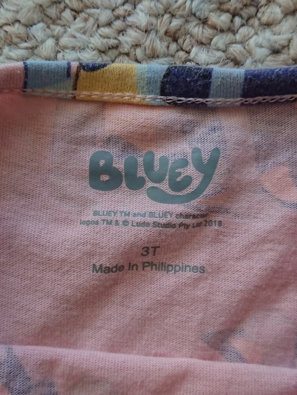 Bluey Toddler Girl Print Drop Waist Dress with Long Sleeves Size 3T
